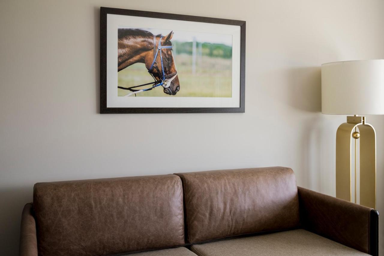 The William Inglis Mgallery Уоруик Фарм Екстериор снимка A framed photograph of a horse